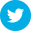 Twitter logo Icon
